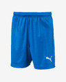 Puma Liga Core Kinder Shorts