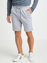 Ragwear Zyan Shorts