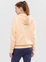 Salomon Sweatshirt