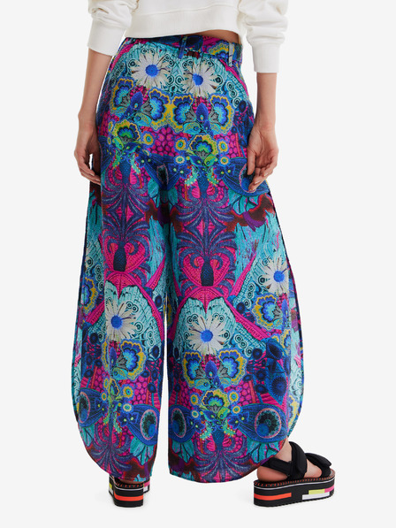 Desigual Lile-Lacroix Hose