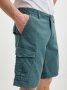 O'Neill Shorts