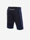 ALPINE PRO Shorts