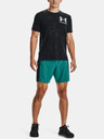 Under Armour UA Run Anywhere Shorts