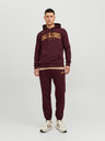 Jack & Jones Josh Sweatshirt