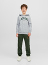 Jack & Jones Josh Sweatshirt Kinder