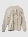 GAP Sweatshirt