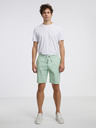 Tom Tailor Denim Shorts