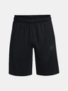 Under Armour UA Baseline 10'' Shorts