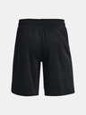 Under Armour UA Baseline 10'' Shorts