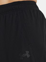 Under Armour UA Baseline 10'' Shorts