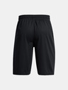 Under Armour UA Perimetr 11'' Shorts