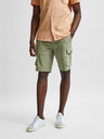 SELECTED Homme Marcos Shorts