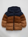 GAP Jacke