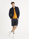 Celio Mohitobm Shorts