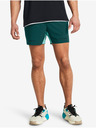 Under Armour Project Rock Ultimate 5in Training Shorts