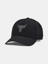 Under Armour Project Rock Trucker Schildmütze