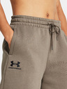 Under Armour UA Essl Flc Relax BF Shorts