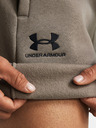 Under Armour UA Essl Flc Relax BF Shorts