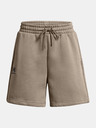 Under Armour UA Essl Flc Relax BF Shorts