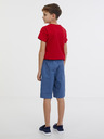 Sam 73 Falko Kinder Shorts