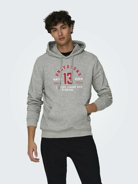 ONLY & SONS Lenny Sweatshirt