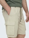 ONLY & SONS Sinus Shorts