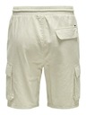 ONLY & SONS Sinus Shorts