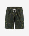 O'Neill Kamakou Shorts