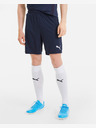 Puma teamGOAL 23 Shorts