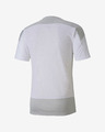 Puma teamGOAL 23 T-Shirt